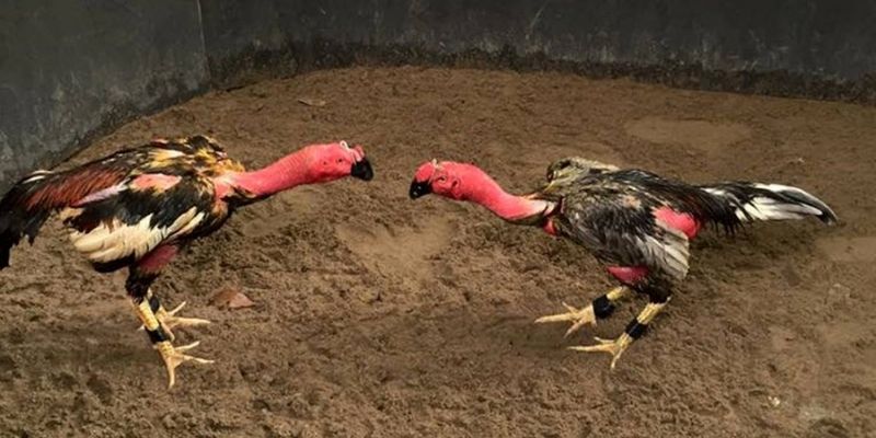 Hiệu quả khi áp dụng cách Om Bóp